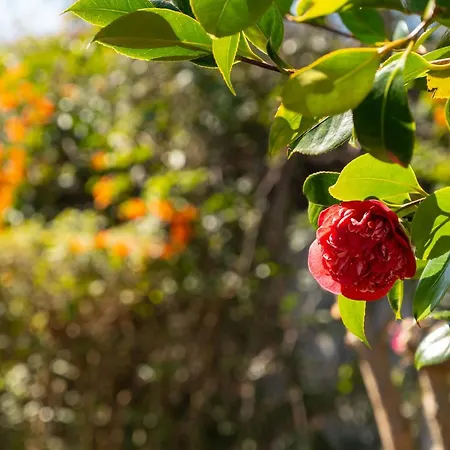 וילה Enjoy - By Lovelystay Lombo da Velha